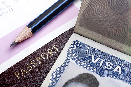 Visa Application Process